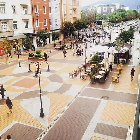 Center 4 * 索菲亞